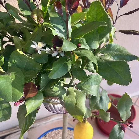 Frühstückspension Les Hauts De Barrou D'hotes 3*